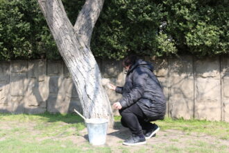 Работники прокуратуры приняли участие в общереспубликанском субботнике